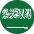 sa_flag